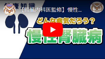 慢性腎臓病ってどんな病気？～種類・経過・治療について～